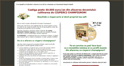Desktop Screenshot of ciupercarie.afacerilacheie.ro